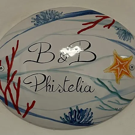 B&B Phistelia